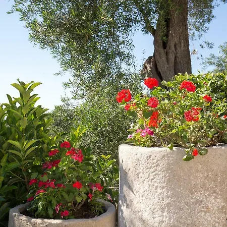 Villa Pelekas