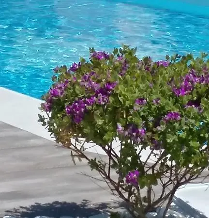 Villa Pelekas *